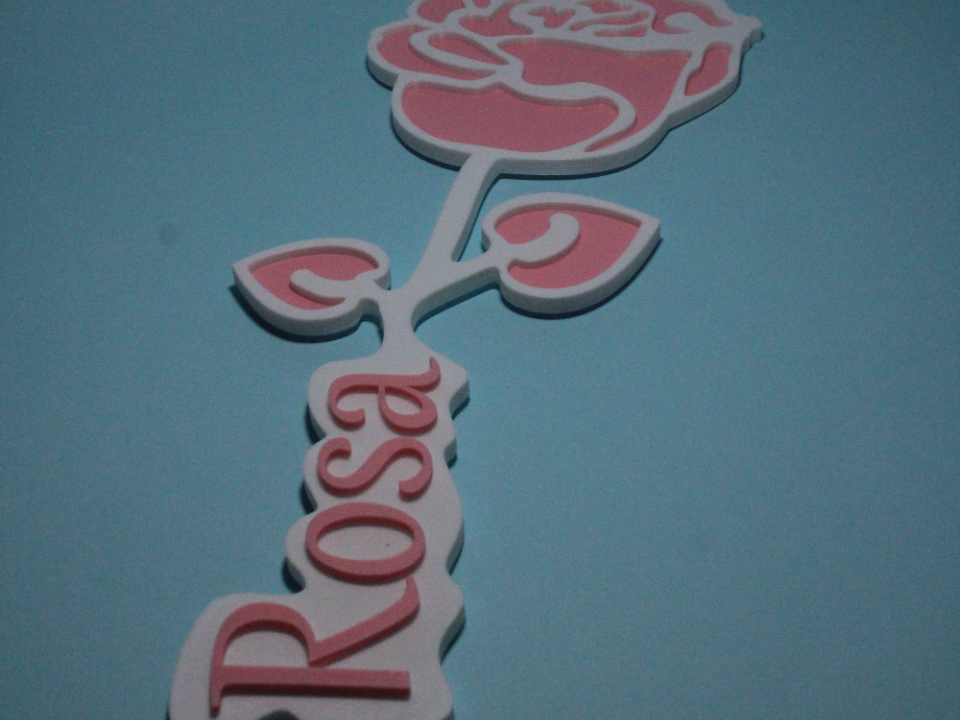 Rosa decorativa