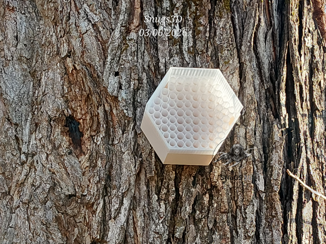 Mason Bee Hotel