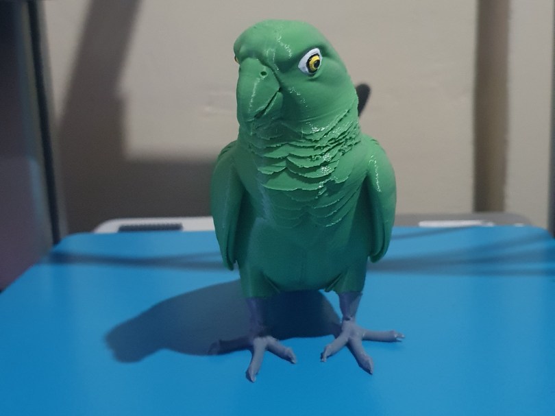 PAPAGAIO DO MANGUE