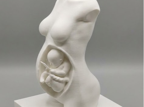 pregnant torso