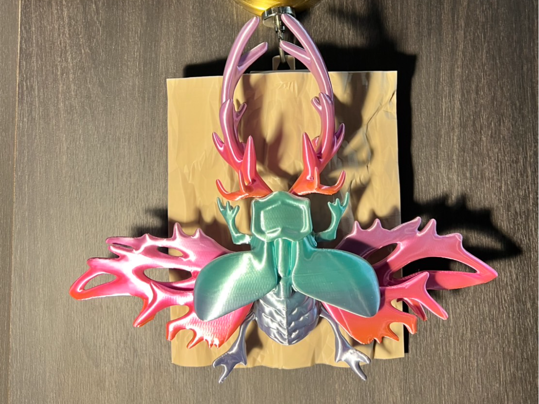 Staghorn Fern Symbiotic Stag Beetle