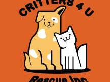 animal rescue