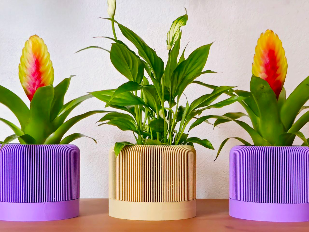 Modern Ribbed Vase _ Removable Plant Plate