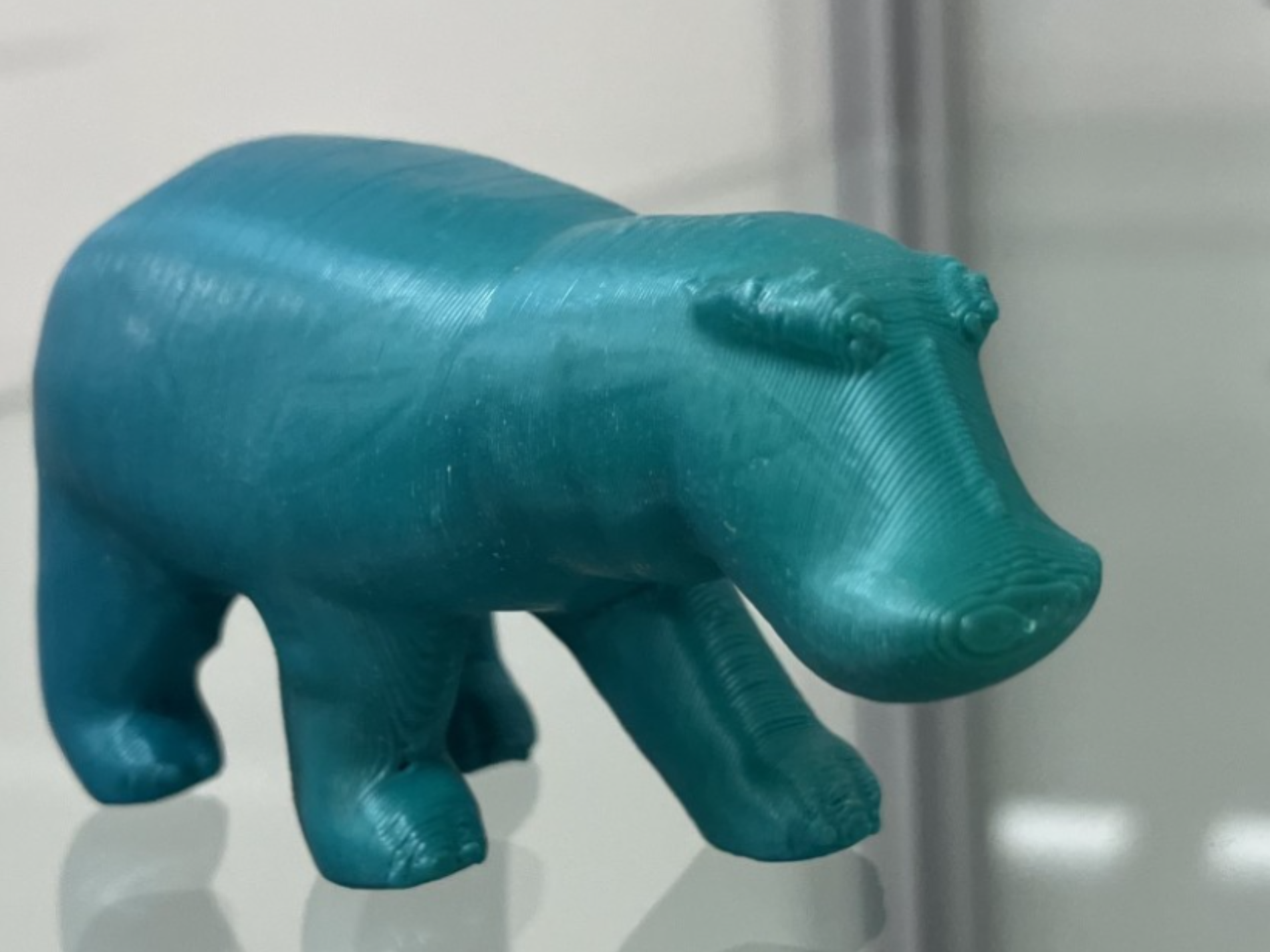 William the Hippo