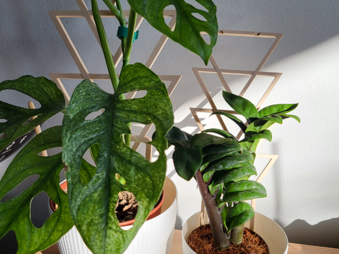 Foldable Triangles plant support
