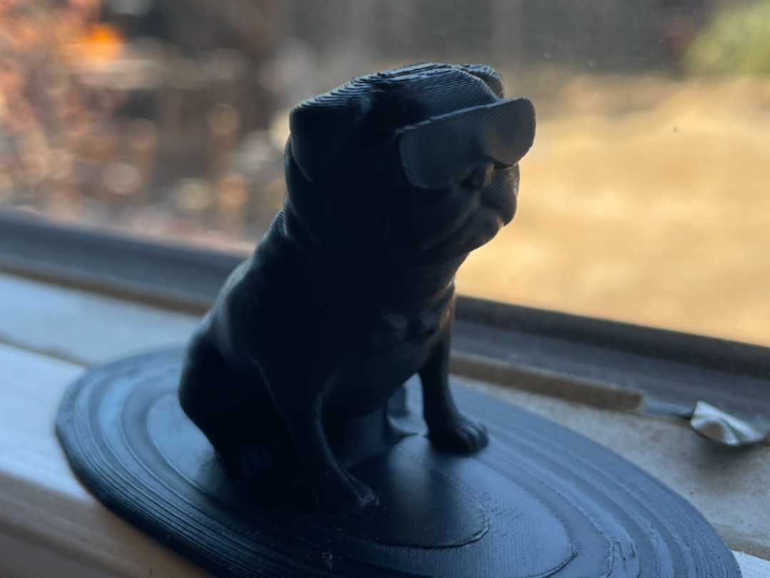 Surfing Pug