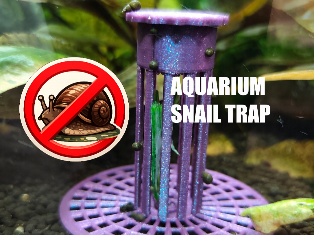 Aquarium snail trap (Easy printing)