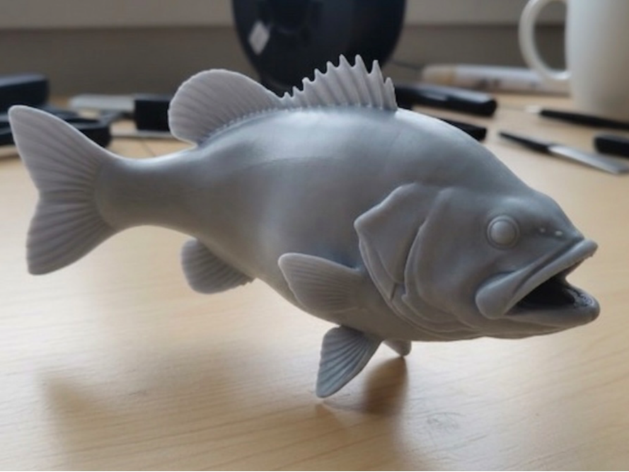 Smallmouth Bass – Standalone Fish Figure