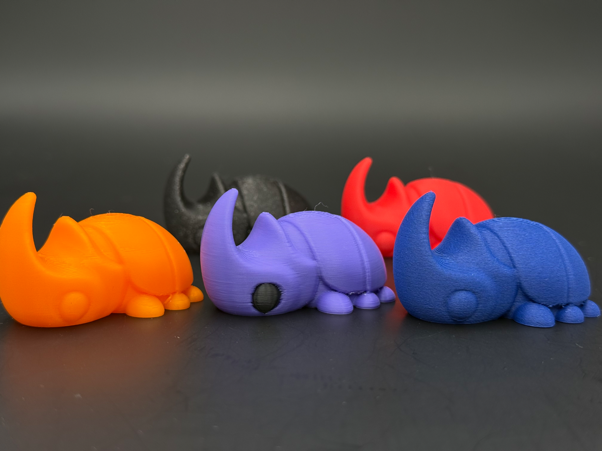 Shellby – The Little Rhino Beetle