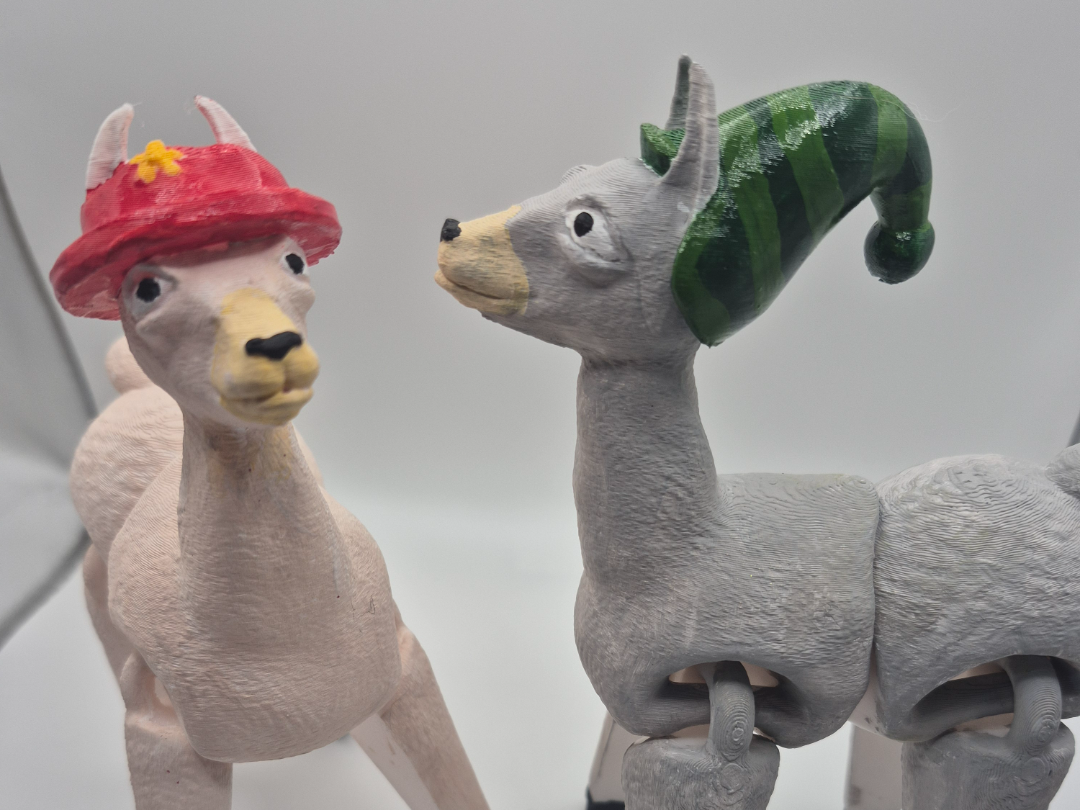 FASHION Llama