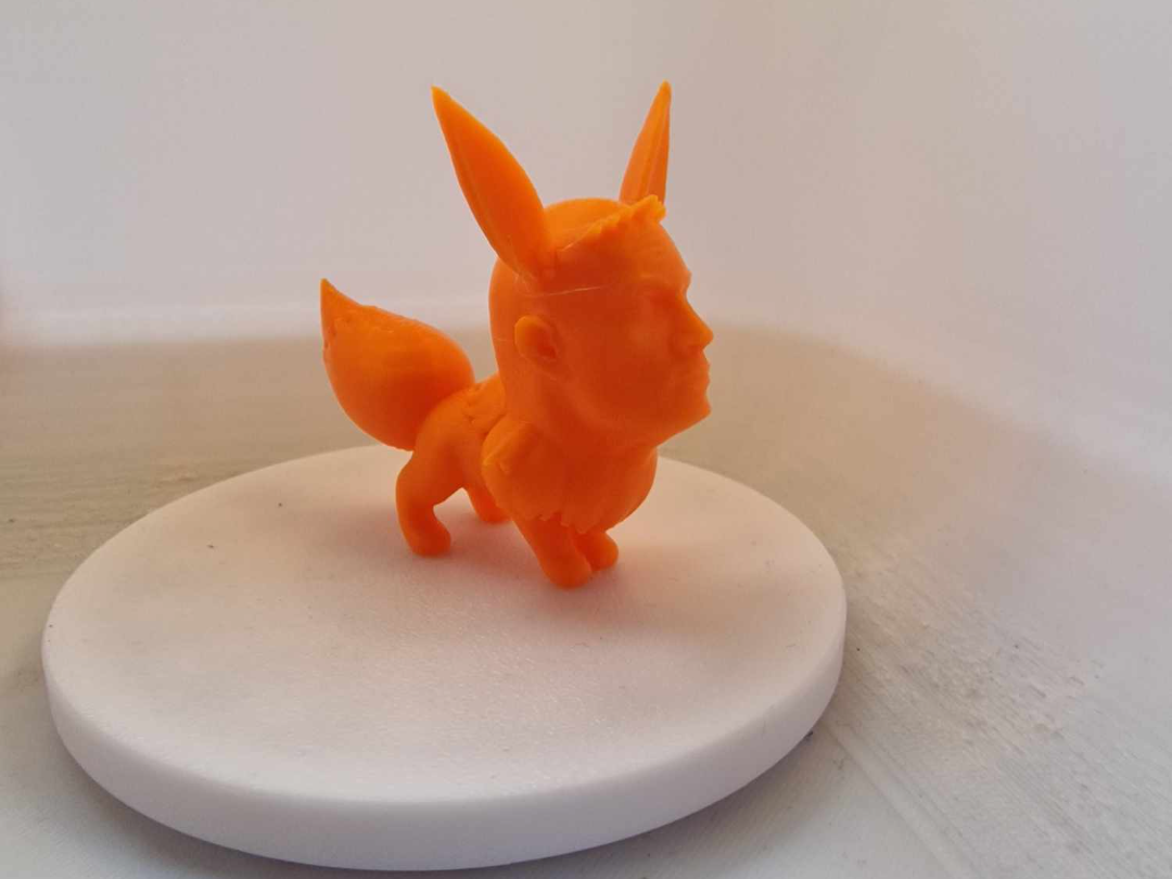Eevee Rockson - Eevee with the rocks face