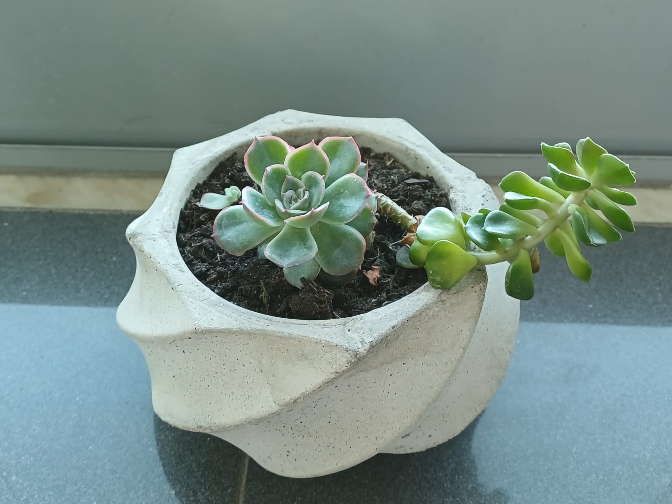 Spiral Cement Vase