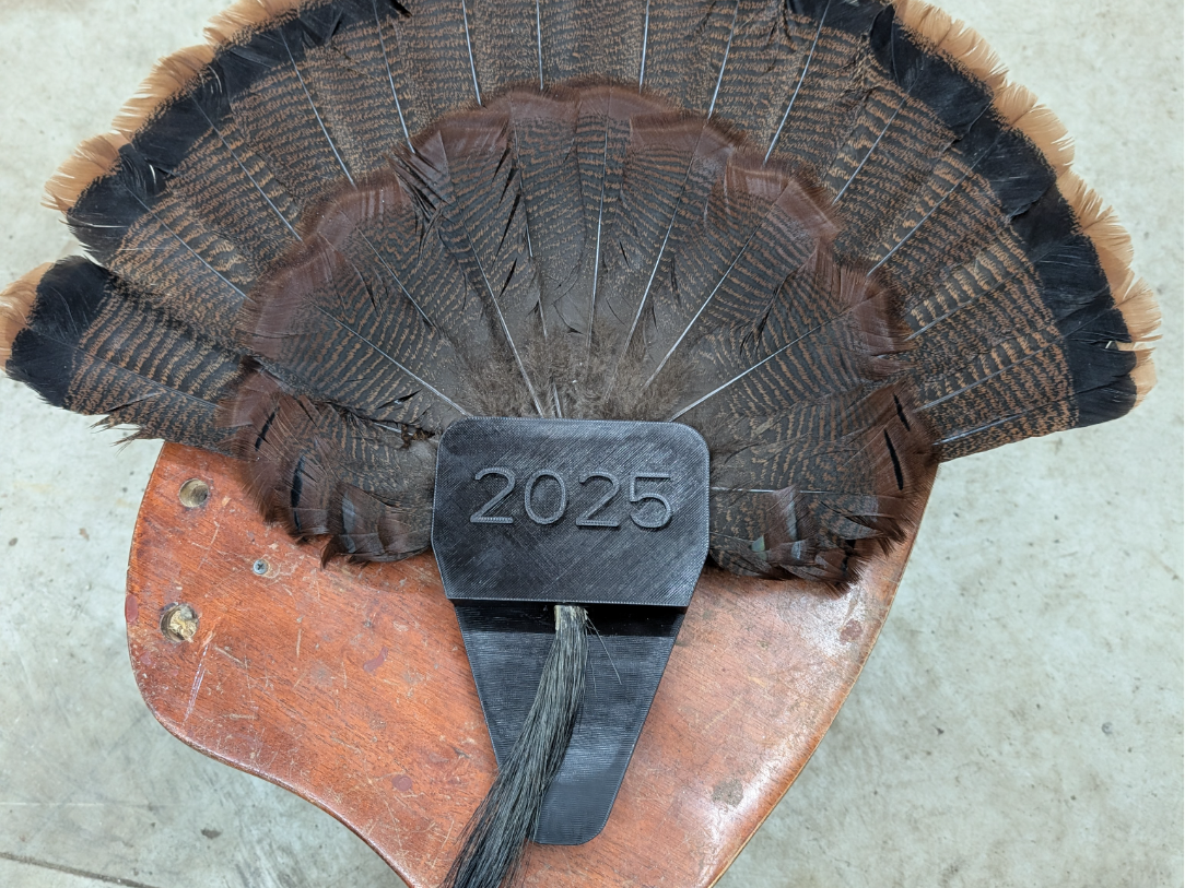 Turkey Fan and Beard Mounting Plaque