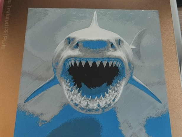 megalodon shark