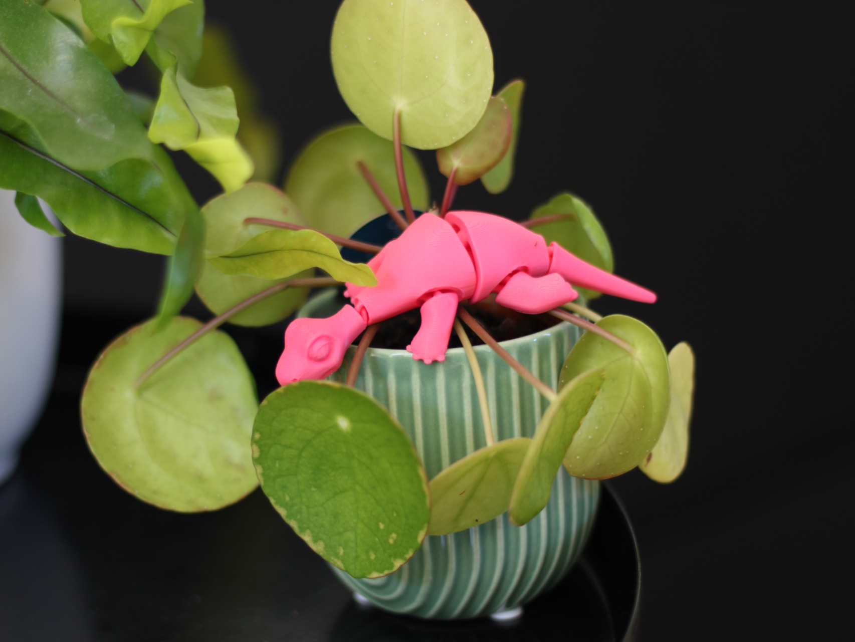Flexi Lizard