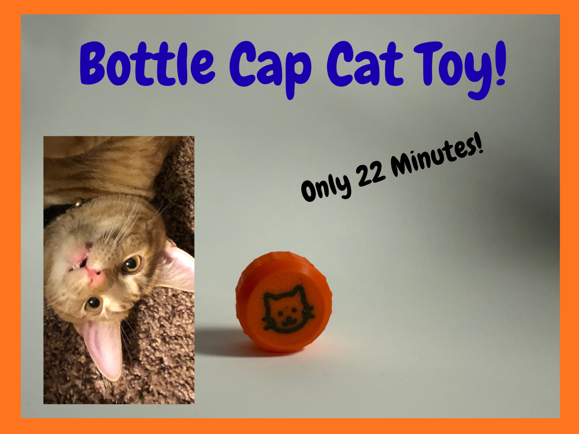 Bottlecap Cat Toy - 22 Minutes!