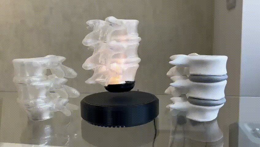 Vertebra L3 to L5 Magnetic Levitation Kit