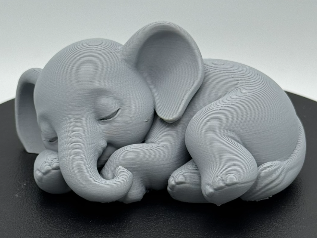 Sleeping Elephant – Curled Trunk Rest Pose