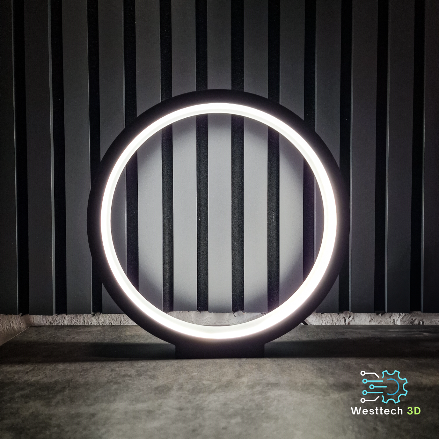 Modern Ring light lamp