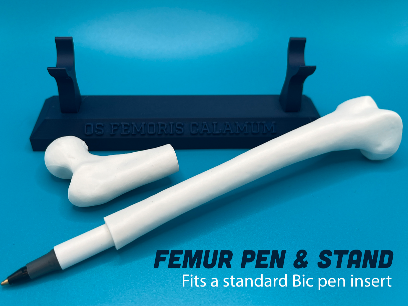Femur (Thigh Bone) Pen