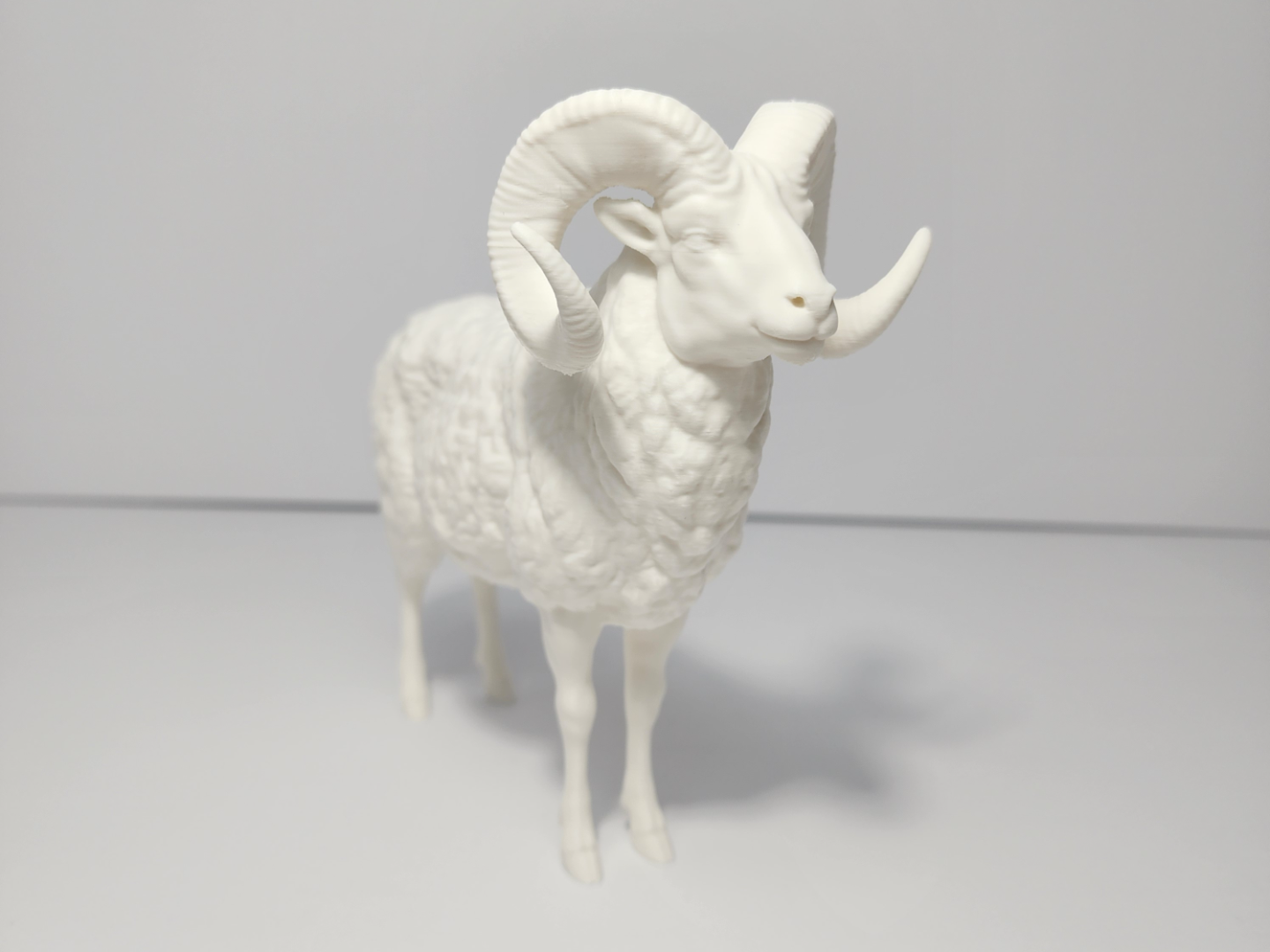 Realistic Bighorn Sheep (Ram)