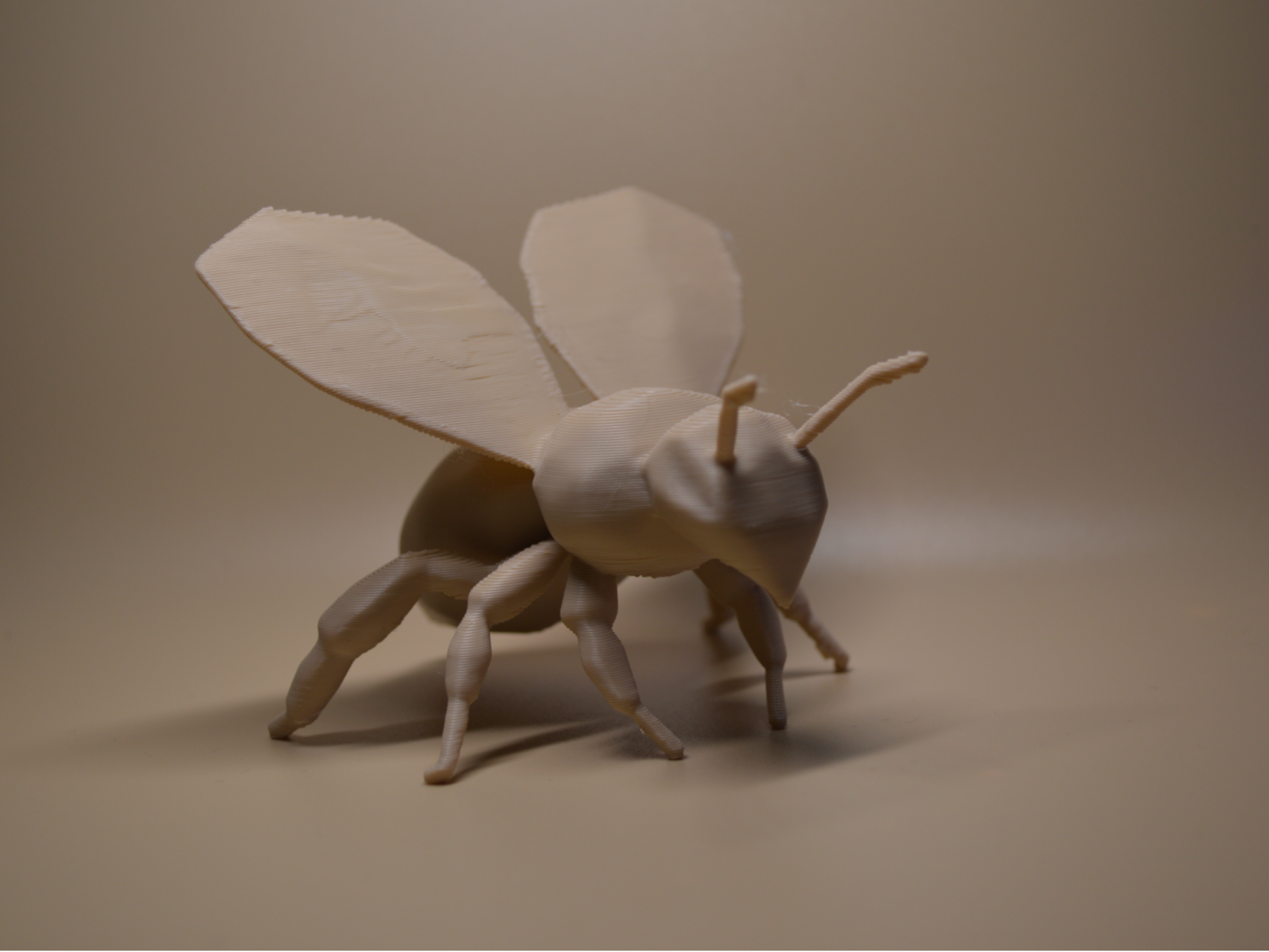Honey Bee