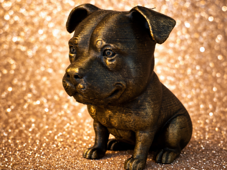 Cute PitBull