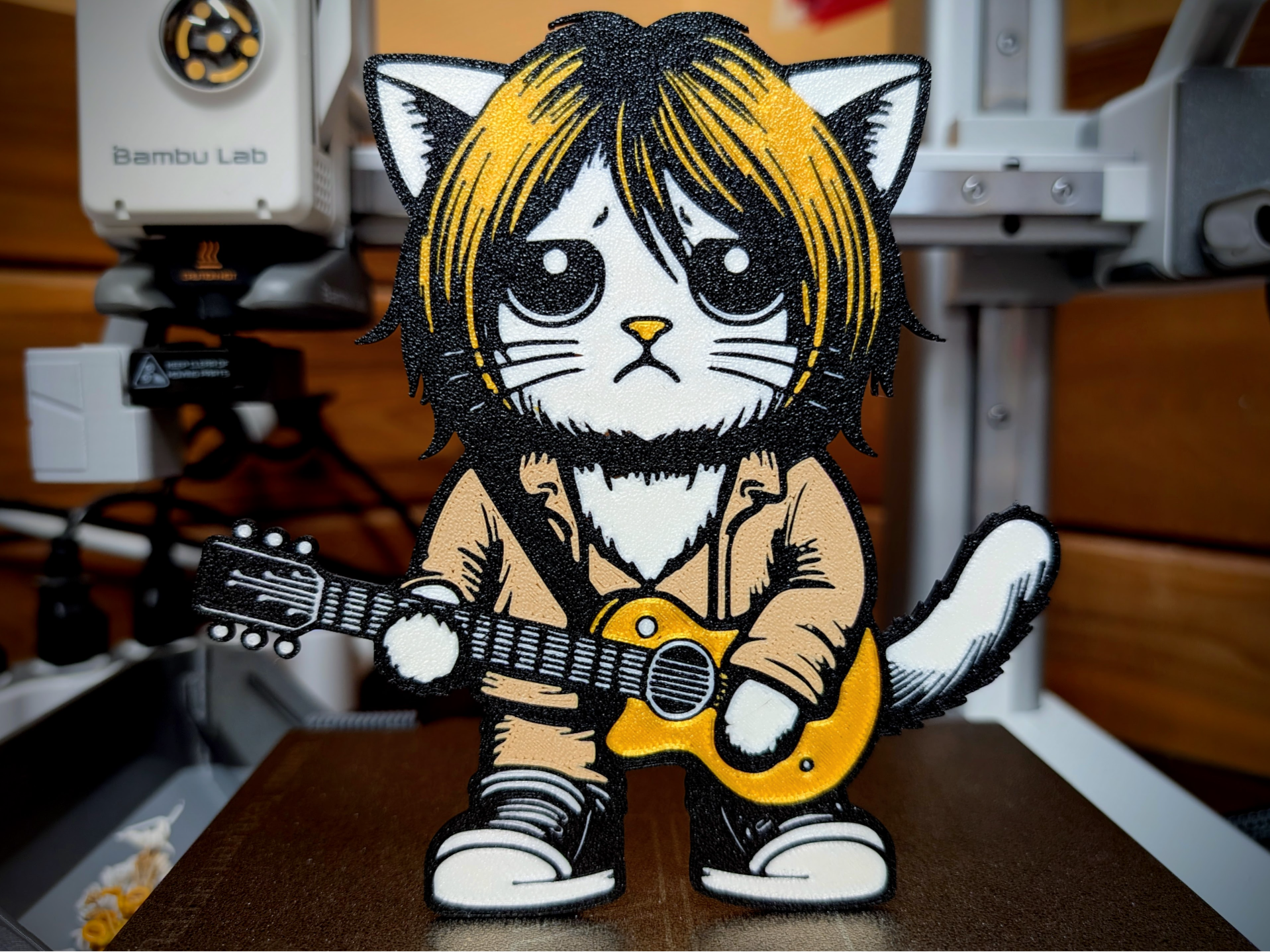 Kurt Cobain Cat