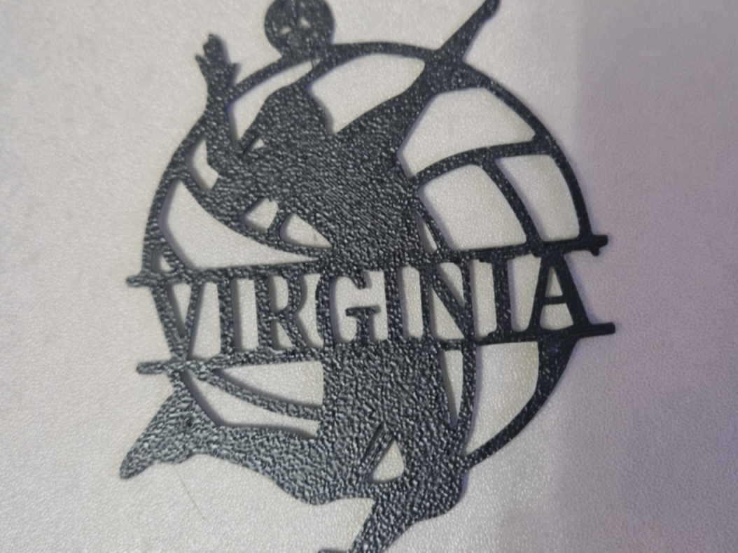 PALLAVOLO VIRGINIA