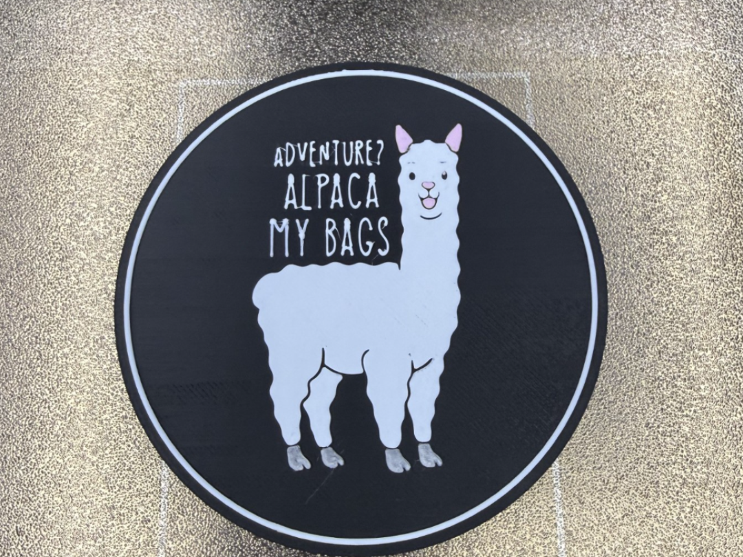 ADVENTURE? ALPACA MY BAGS COASTER