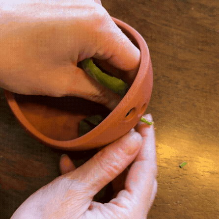 Herb Stripper / Herb Puller