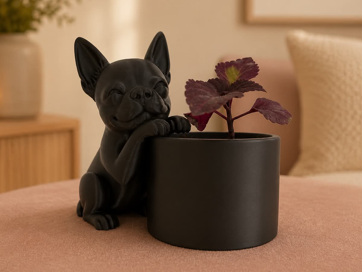Boston Terriër Planter