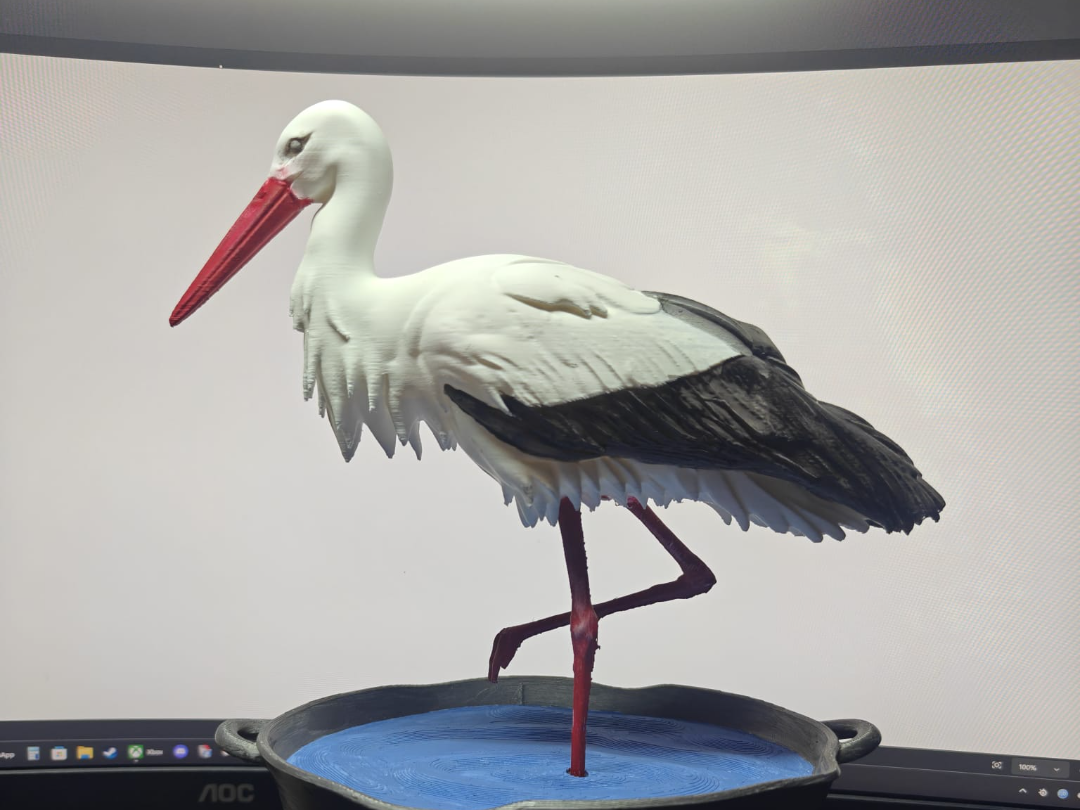 10 most popular polish birds - 02 Stork/Bocian