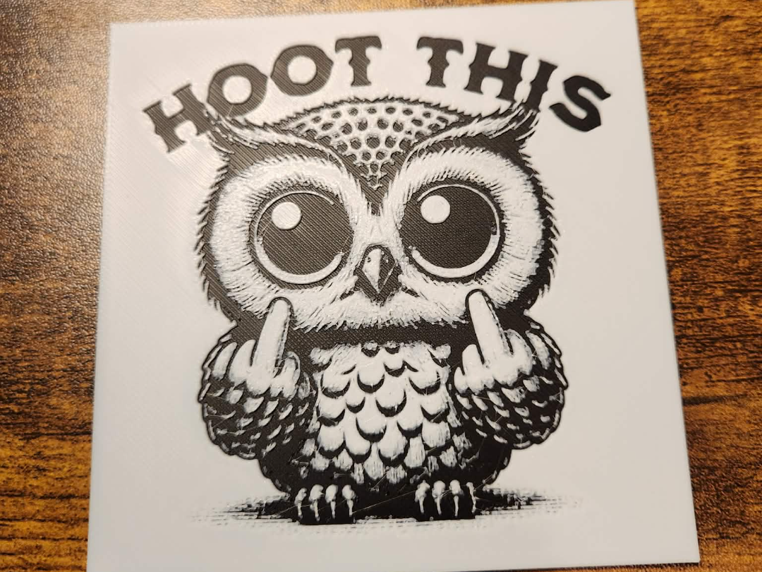 Coaster - Hueforge - Hoot This Owl