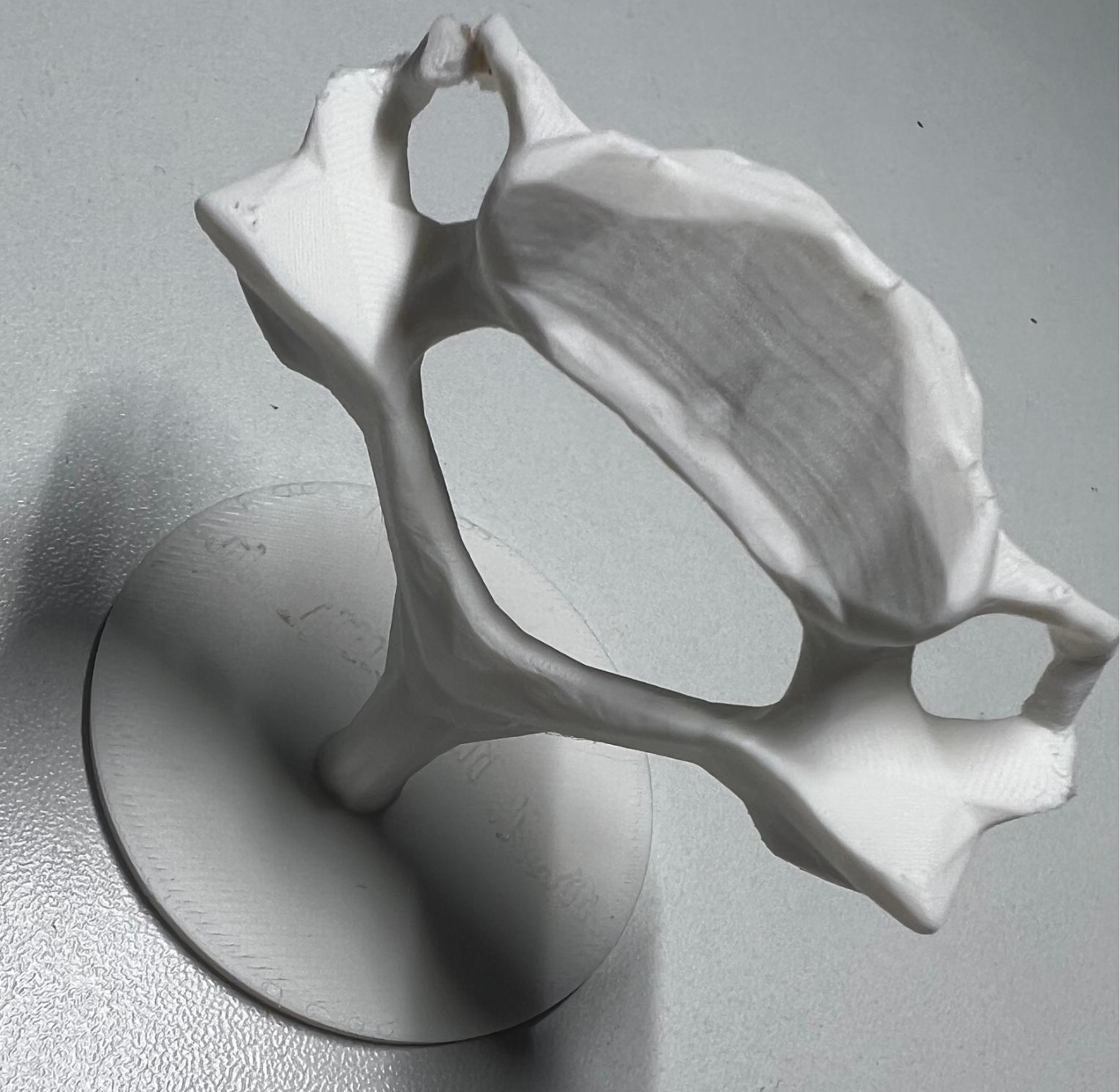 Funny Vertebra - C6