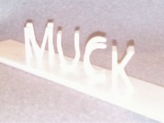 Fusk Muck Ambigram