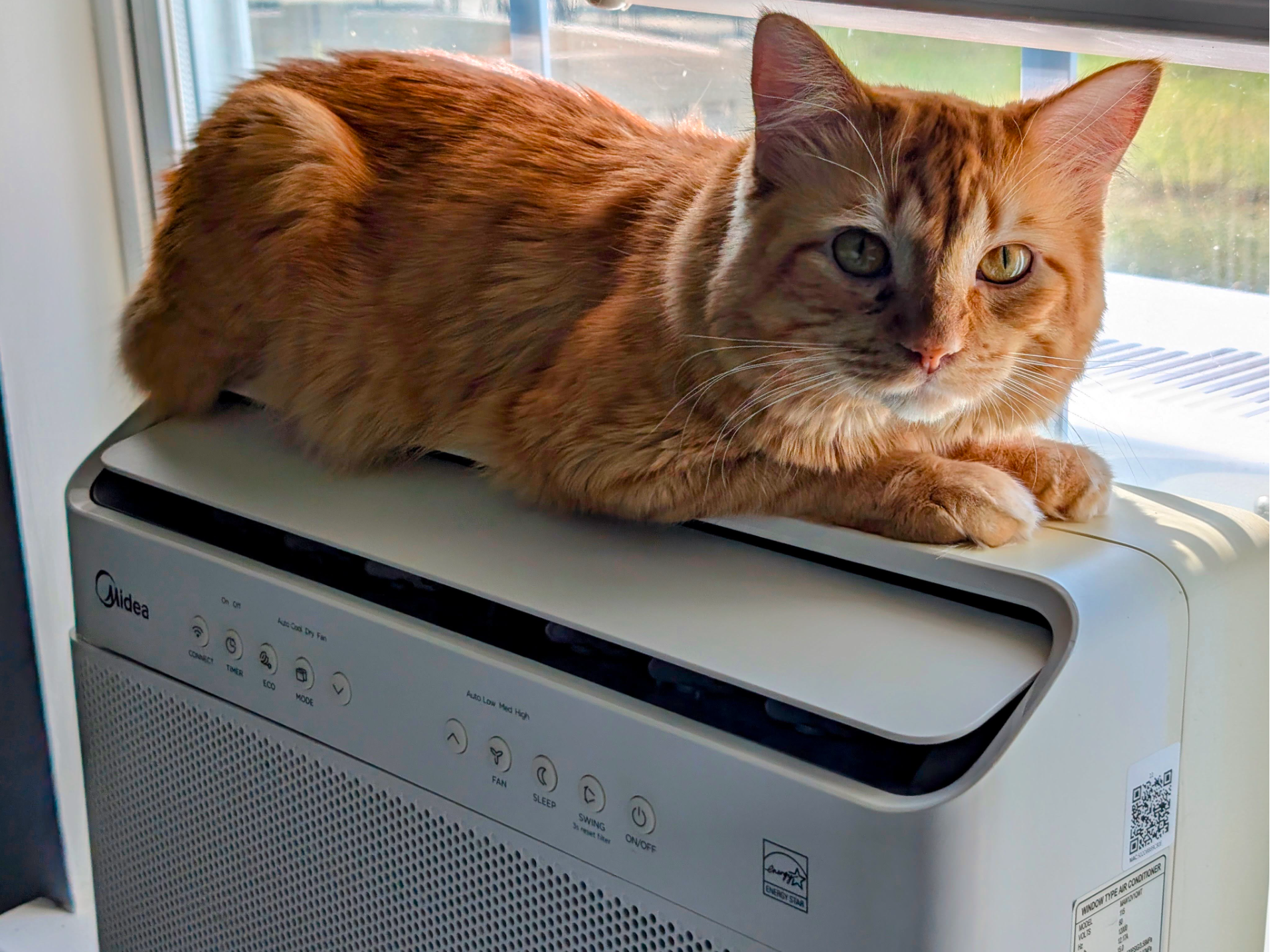 Cat Window Air Conditioner Platform Midea U