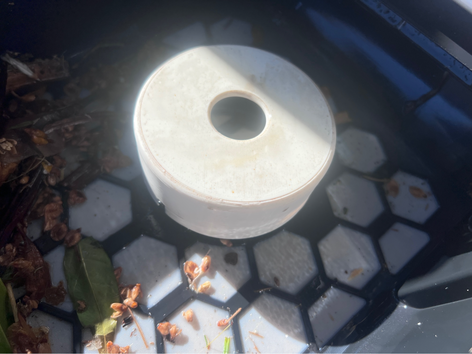 Chlorine Cap for Betta solar pool skimmer