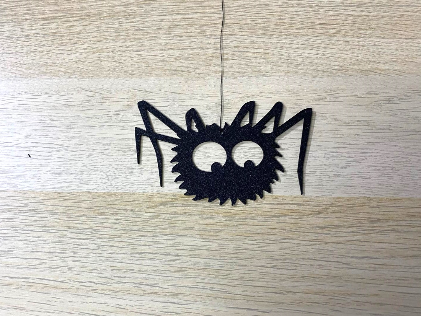 Huge hairy spider