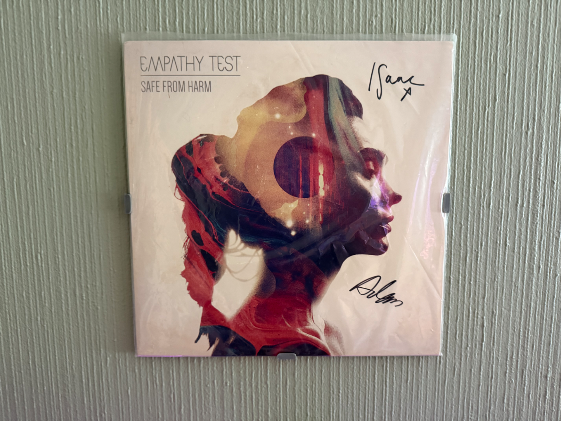 Vinyl record wall mount