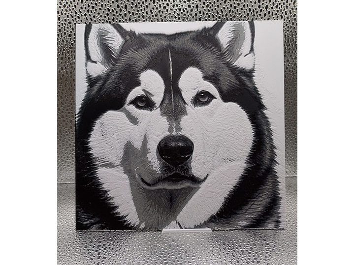 Alaskan Malamute Hueforge