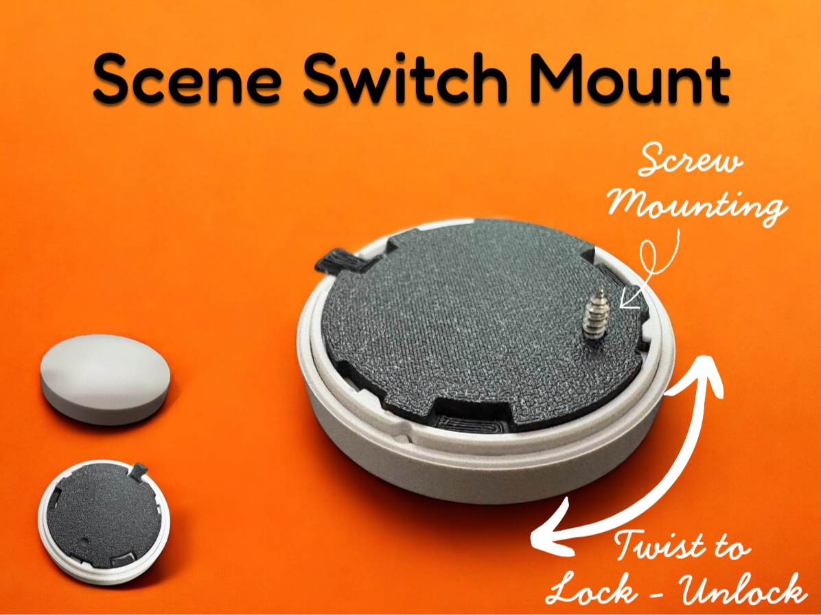 Scene Switch Mount (Back Plate)