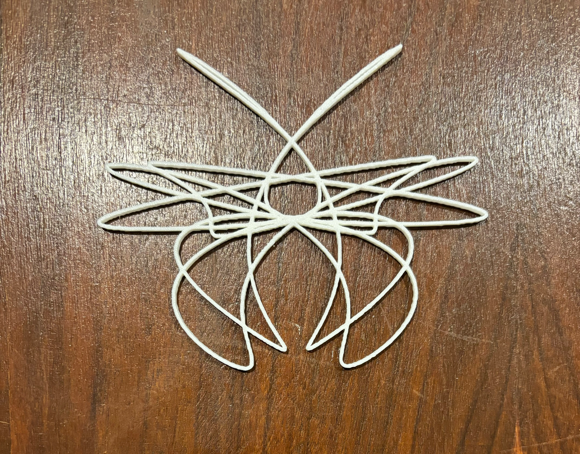 Parametric Equation - Moth