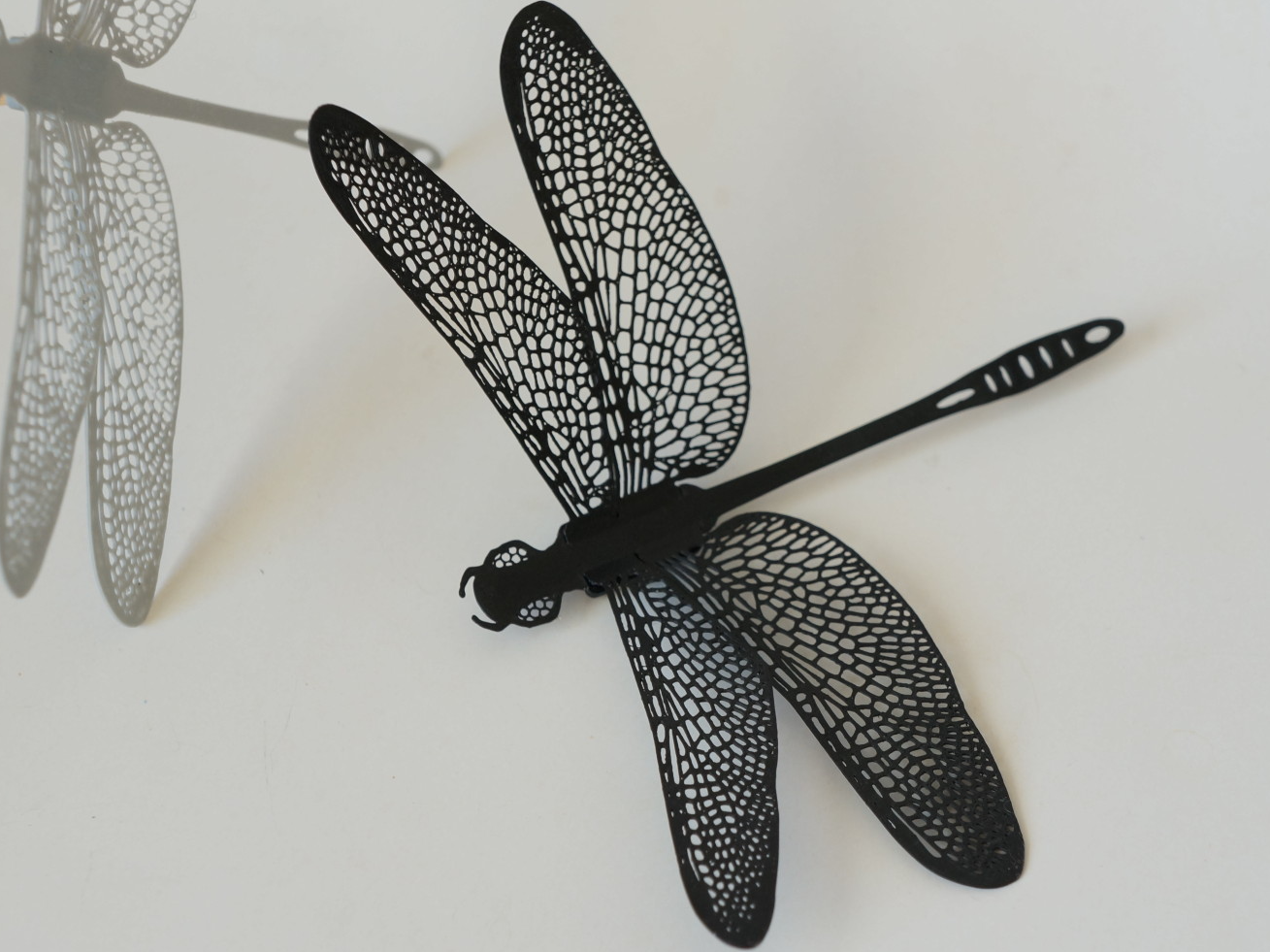 Dragonfly