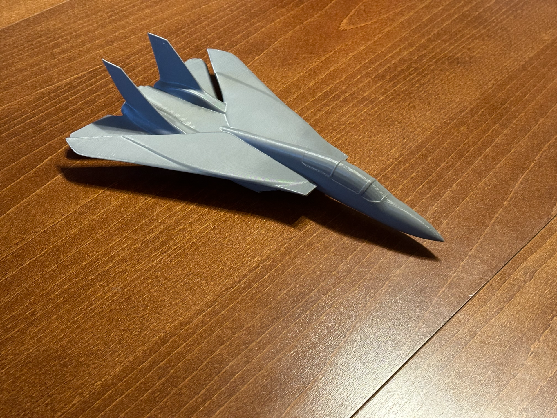 Grumman F-14 Tomcat
