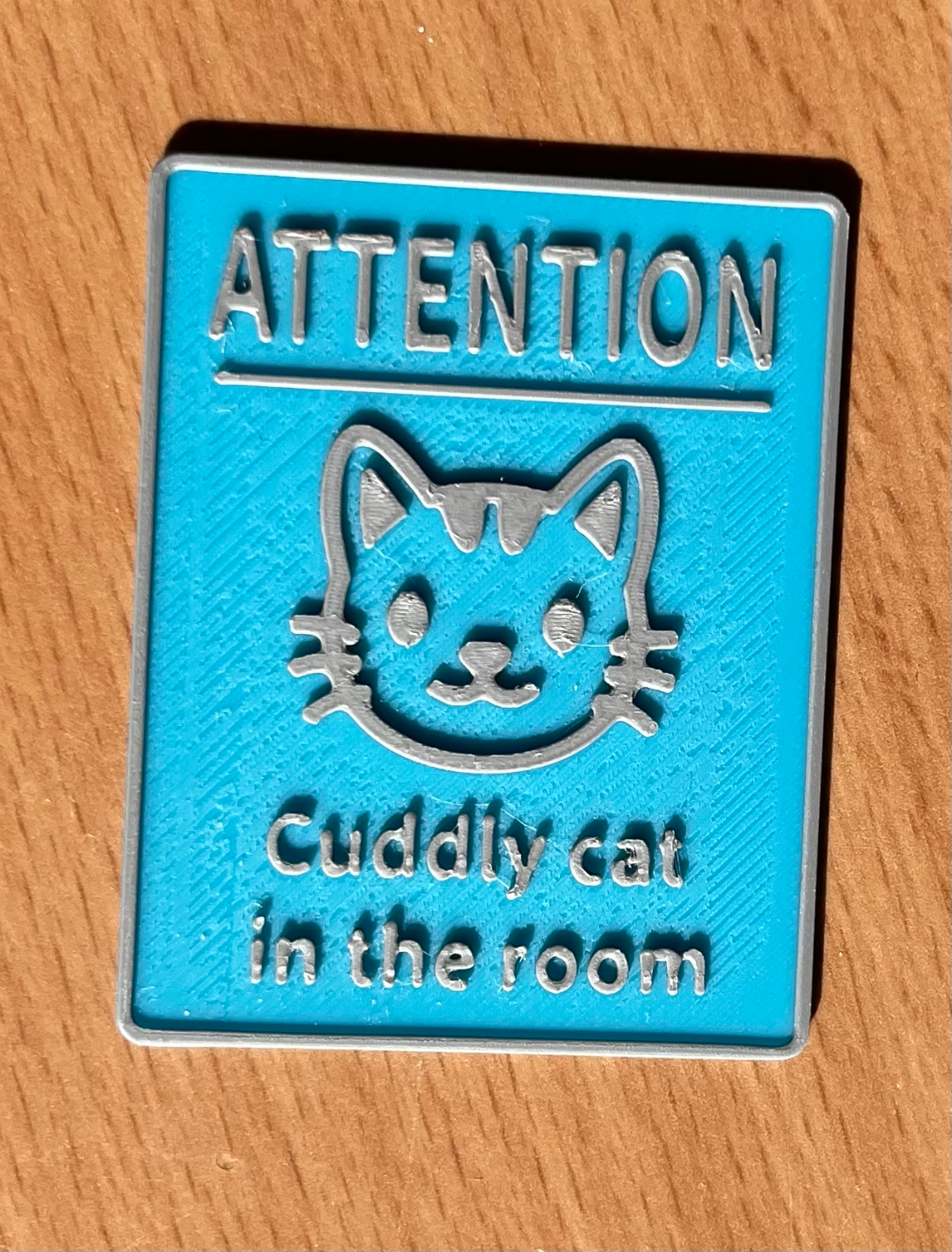 Attention sign cuddly cat in room