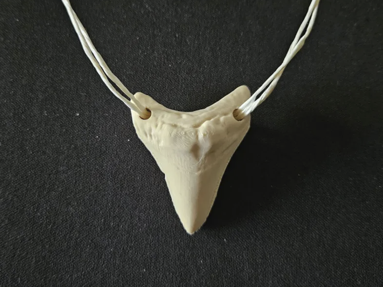 Dinosaur Megalodon shark tooth necklace