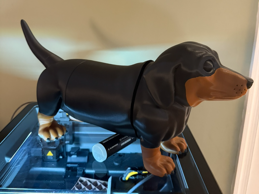 Large Multipiece Multicolor Dachshund.