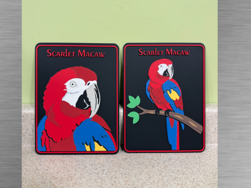 Exotic Birds -Scarlet Macaw