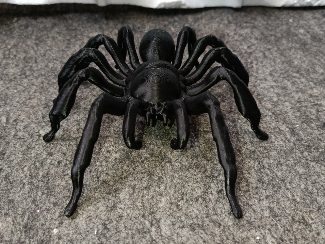 araña tarantula